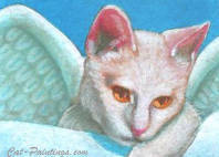 aceo angel cat