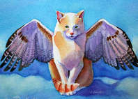 angel cat urn kitten wings cat paintings dot com