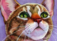 curious tabby kitten cat paintings dot com