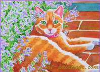 Orange Manx Watercolor Painting