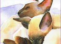 Seal Point Siamese Cats Painting