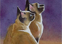 Siamese Cats Watercolor Painting