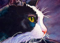 black cat tuxedo cat stormy Rachel Armington calendar cat paintings dot com