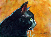 black cat paintings