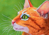 orange tabby cat paintings
