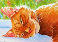sleeping cat painting