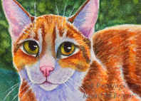 Painting of Cute kitten