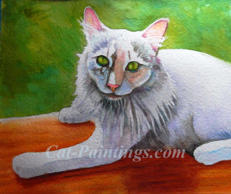 longhair calico cat commission
