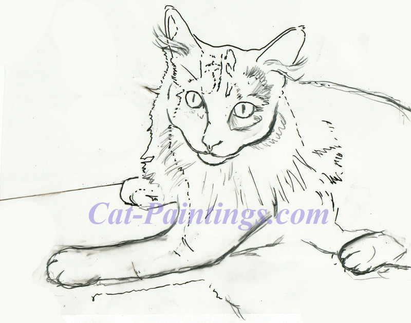 sketch of dilute calico