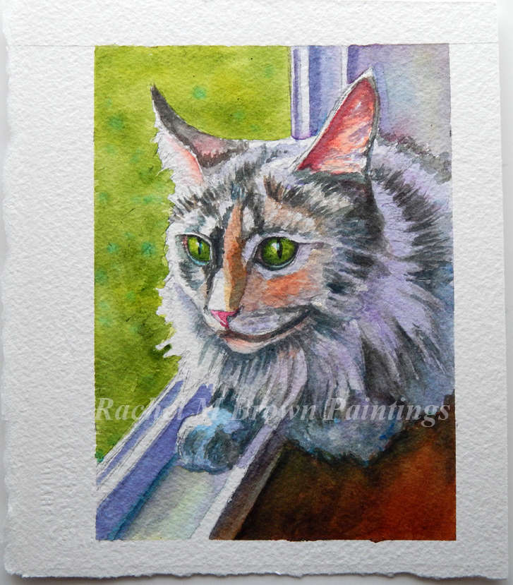 muted longhair calico cat commission