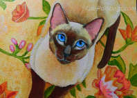 Siamese Cat Acrylic Portrait