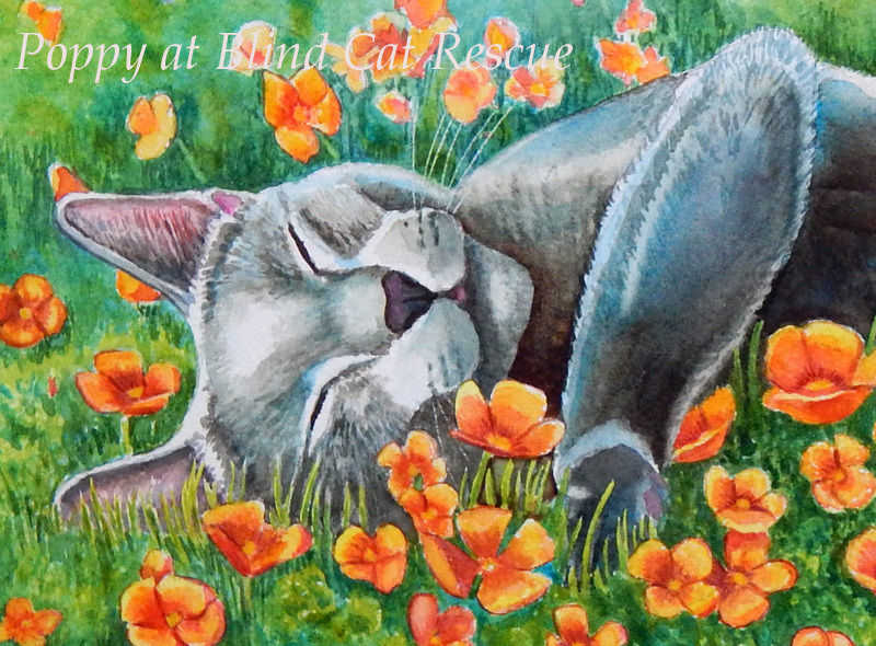 Painting Donated to Blind Cat Rescue Fundraiser
