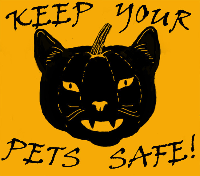 Please keep your pets inside on Halloween
