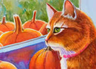 orange tabby cat pumpkin