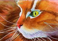 Maine coon cat painting