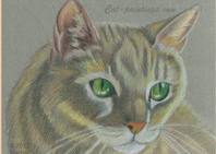 orange tabby cat colored pencil drawing painting