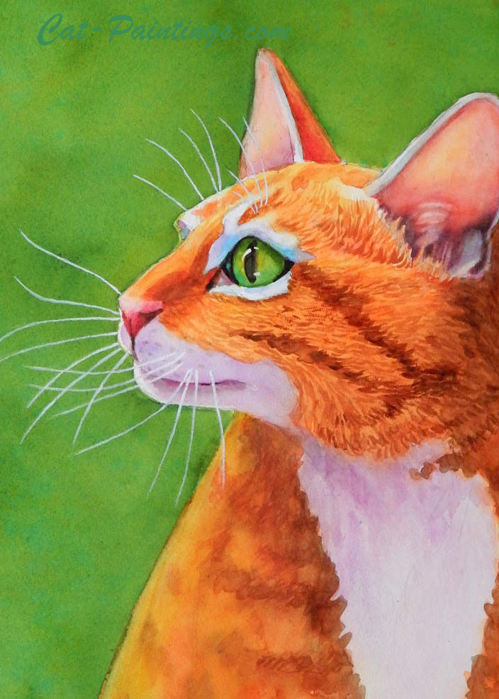 Orange tabby cat with impressive whiskers paintings