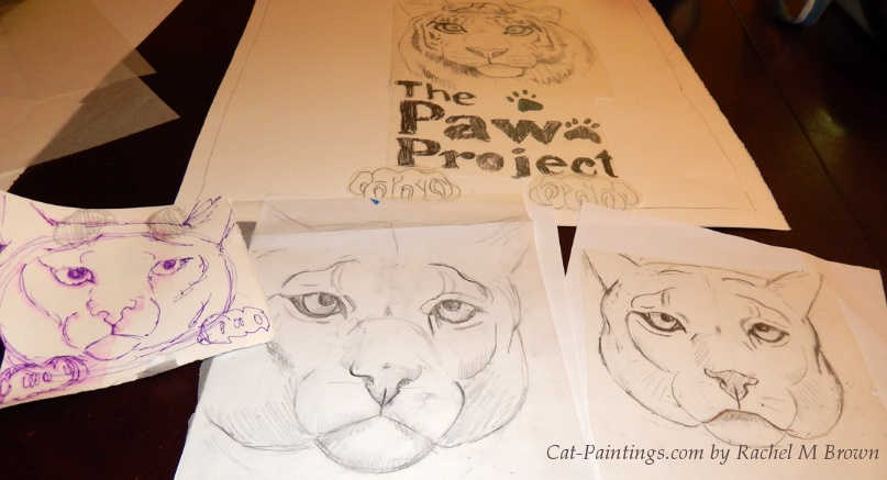 Rachel M Brown drawings for the Paw Project contest