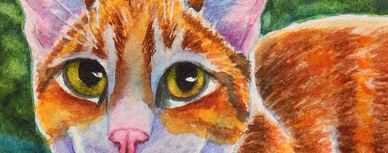 Cat Paintings Banner