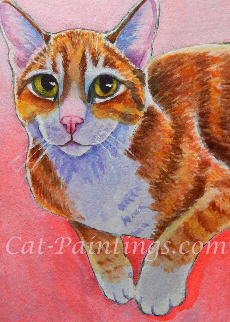 anxious kitten orange tabby cat rachel m brown cat paintings