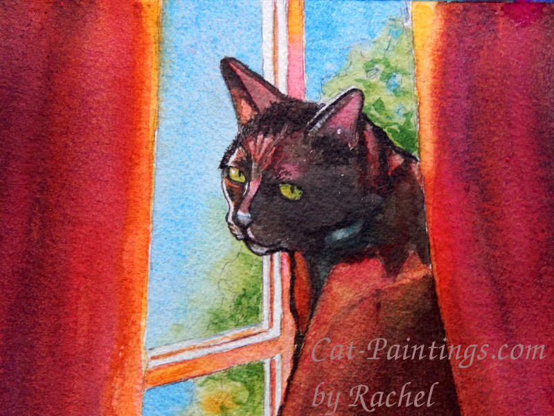 black cat painting red curtain by artist Rachel M Brown