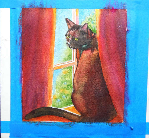 black cat watching birds by Rachel M Brown
