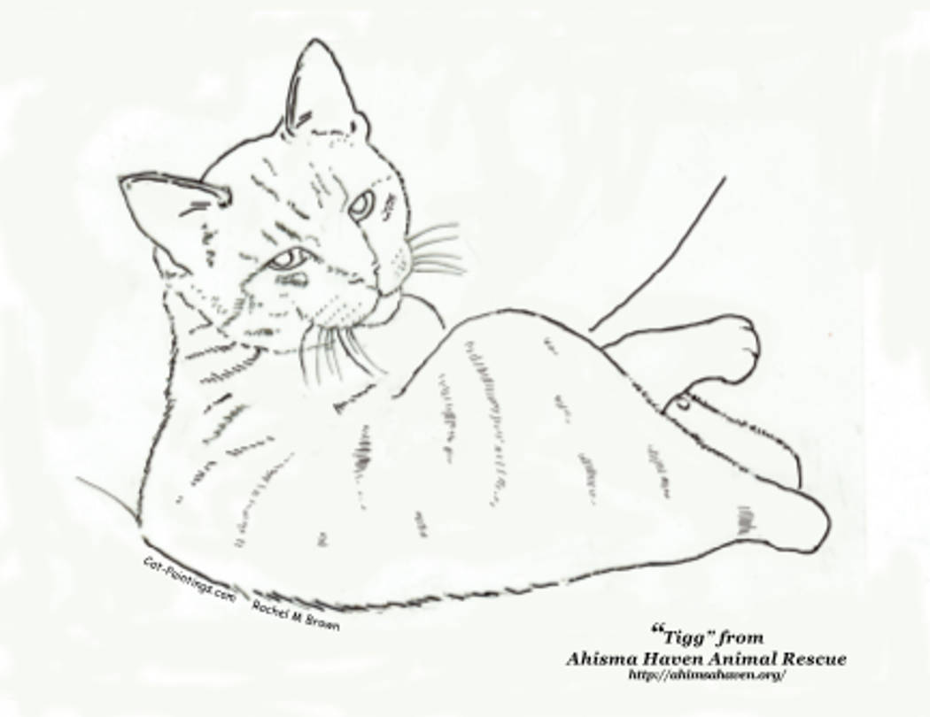 Free Coloring Book Printable of Tigg at Ahimsa Cat Shelter