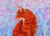 orange tabby cat picture