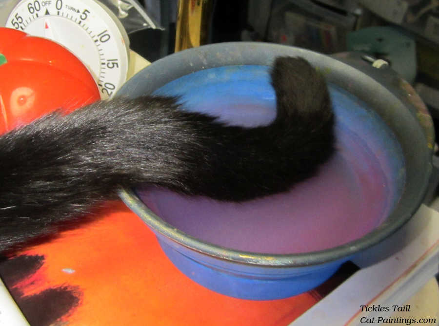 cat tail for a paint brush