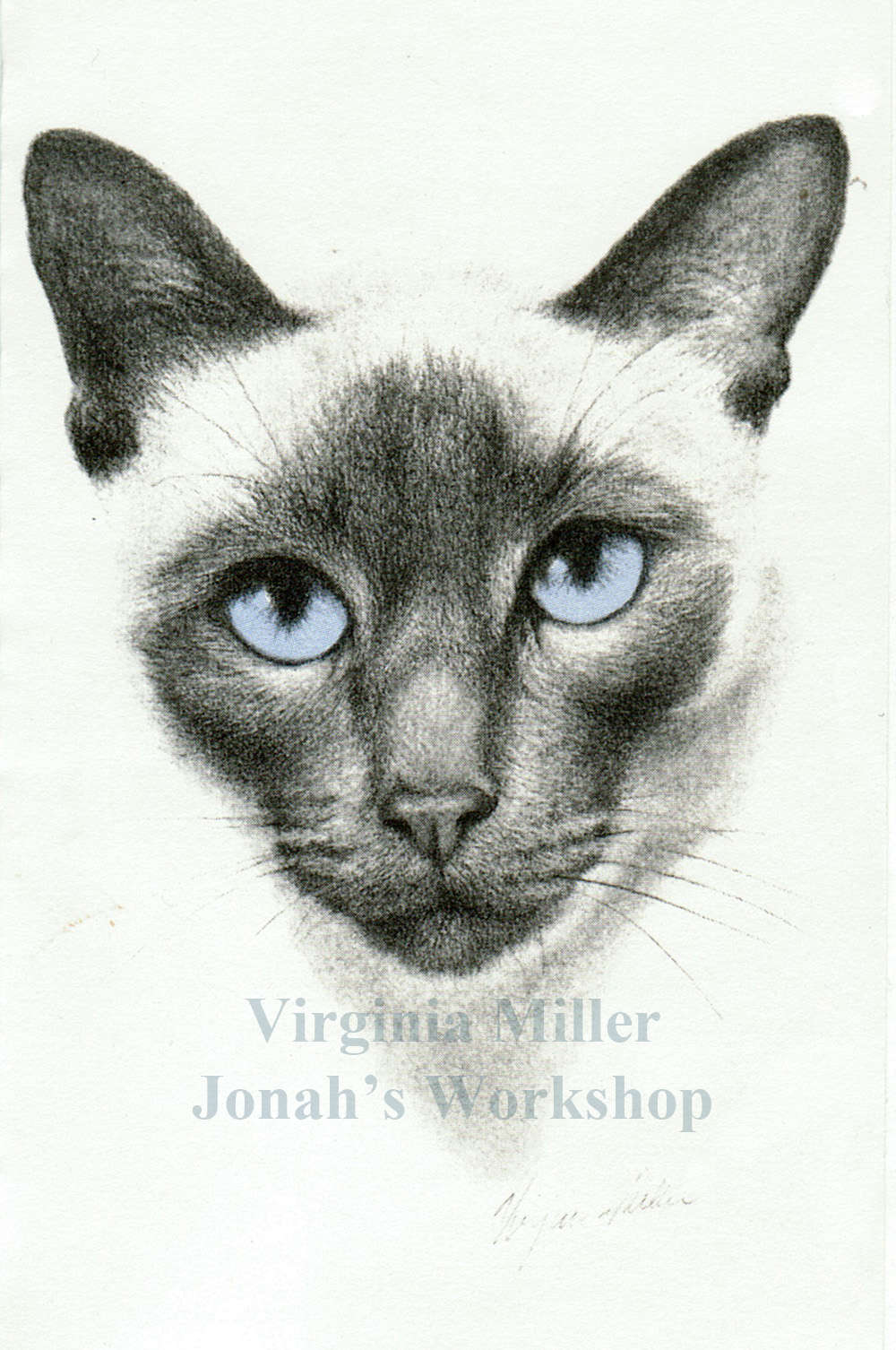original lithograph of Siamese by Ginny Miller