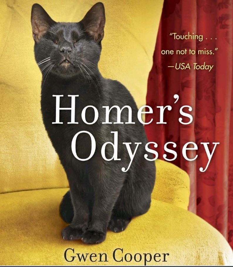 Homer's Odyssey by Gwenn Cooper