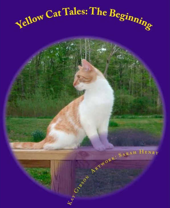 Review of Yellow Cat Tales by Kay Gibson