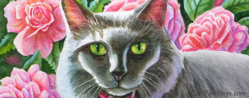 Cat Paintings Banner