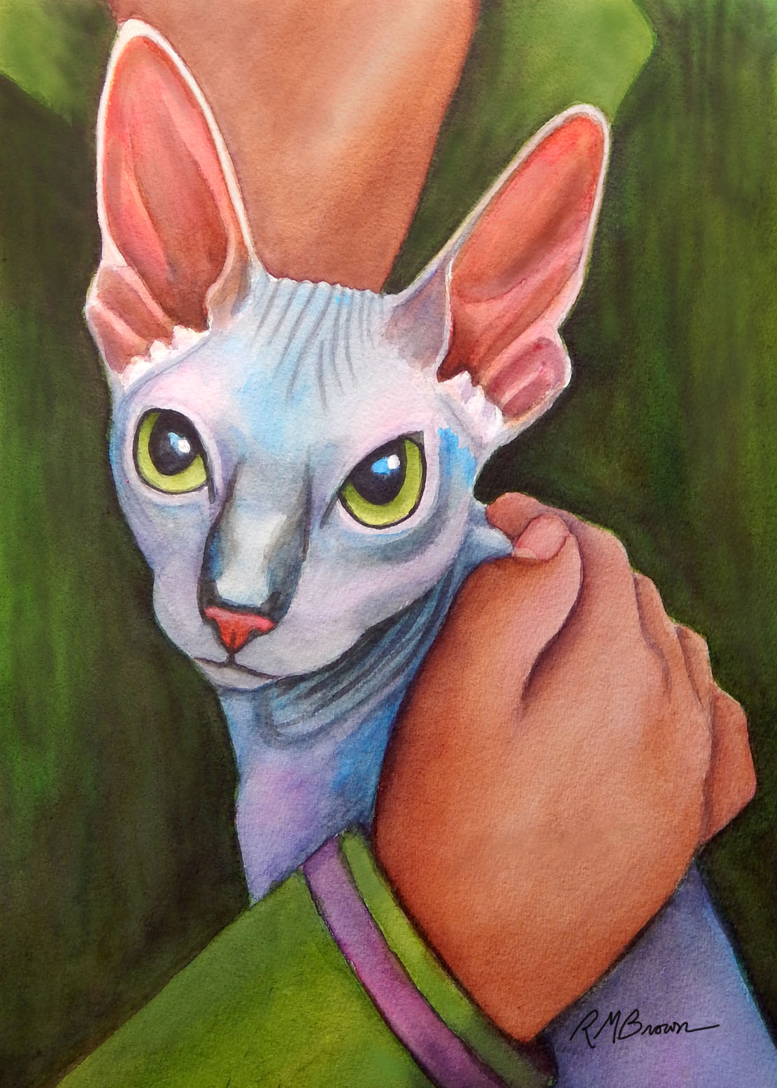 watercolor big ears Sphynx painting