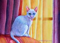 white cat valentine card pangur